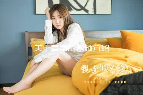 关于草莓的视频介绍